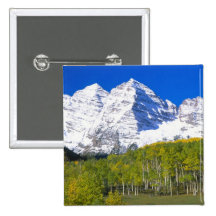 Bells marron avec la forêt de tremble d'automne badges