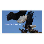 BEOAT Eagles chauve sur une cime d'arbre Cartes De Visite Professionnelles