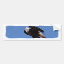 BEOUP Eagle chauve sur Polonais de service Autocollants Pour Voiture