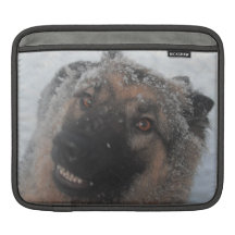 Berger allemand de douille d'Ipad dans le sourire  Housses iPad