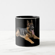 Berger allemand sur la tasse noire
