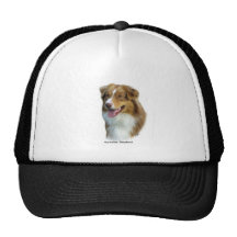 Berger australien 9K4D-16 Casquette De Camionneur