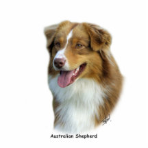 Berger australien 9K4D-16 Découpage En Acrylique