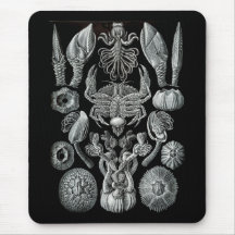 Bernaches Tapis De Souris