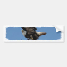 BERTF Eagle chauve prêt à se sauver Adhésifs Pour Voiture