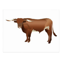 Bétail de Longhorn Cartes Postales