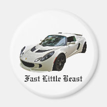 Bête rapide de Lotus petite Aimant