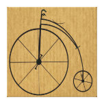 Bicyclette vintage toile tendue