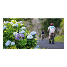Bicyclettes et hortensias photocarte customisée