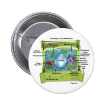 Biologie Pin's Avec Agrafe