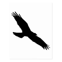 Bird - Oiseau (01) Cartes Postales