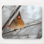 Birdie dans la tempête de neige - Mousepad Tapis De Souris