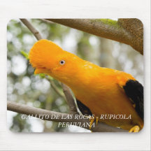 BIRDs PETIT CHEF des ROCHES Tapis De Souris