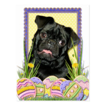 Biscuits d'oeuf de pâques - carlin - Ruffy Carte Postale