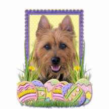 Biscuits d'oeuf de pâques - Terrier australien Photo En Relief