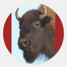 bison autocollants