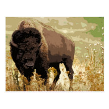 Bison/Buffalo Cartes Postales