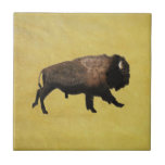 Bison Carreau