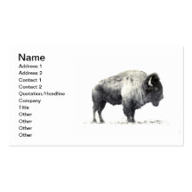 Bison de plaines cartes de visite professionnelles