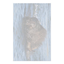 bison papier à lettre personnalisé