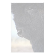 bison papiers à lettres