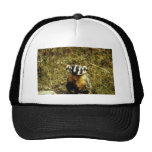 Blaireau Casquette De Camionneur