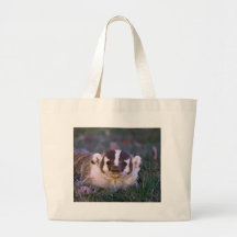 Blaireau Sacs