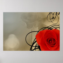 Blanc de rose rouge affiches