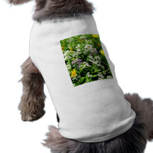 Blanc, jaune et fleurs sauvages de lavande t-shirts pour animaux domestiques