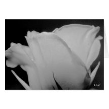 Blanc, S Cyr Carte