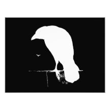 Blanc vintage de silhouette de Raven sur le noir - Art Photographique