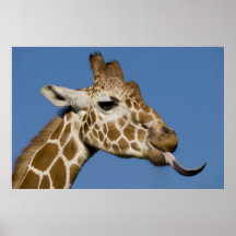 Bleeeh Posters