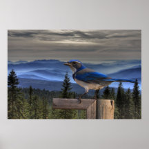 BLEU 186A SUR le BLEU (20X30) Posters