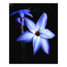 Bleu Photo Sur Toile
