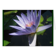 Bleu de nénuphar carte de vœux