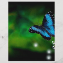 bleu de papillon prospectus en couleur