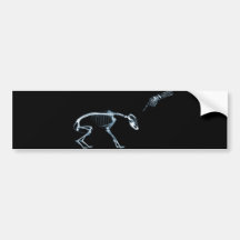 Bleu noir squelettique de mauvais rayon X de chien Adhésifs Pour Voiture