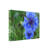 Bleuet bleu impression sur toile