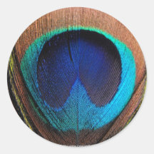 Bleus riches de macro plume de paon photographique adhésif