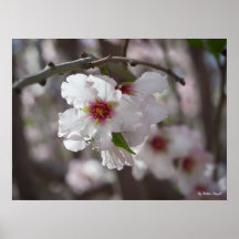 Blooming3 Affiche