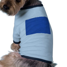 Blue steel dog clothes
