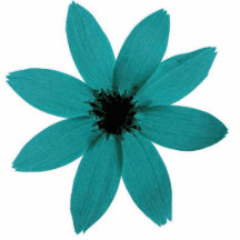 blueflower découpage en acrylique