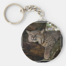 Bobcat_11x11 Porte-clefs