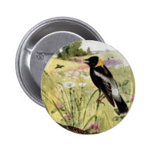 Bobolinks, marguerites et trèfle rose badges