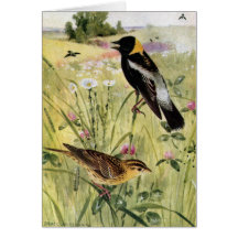 Bobolinks, marguerites et trèfle rose carte de vœux