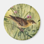 Bobolinks, marguerites et trèfle rose aimants pour réfrigérateur