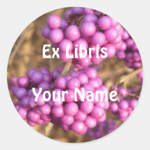 Bodinieri de Callicarpa (rose) - autocollant ex de