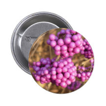 Bodinieri de Callicarpa (rose) Badges