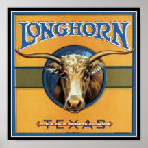 Boeuf Longhorn du Texas Affiche