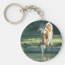 Boire de vache porte-clé